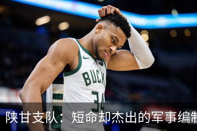 陕甘支队：短命却杰出的军事编制研究